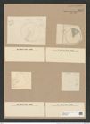 Coscinodiscus bipliauts Grun. (de-Toni-Nr.: Genus 202, Species 5099) Zeichnungen Sammlung Grunow Nr. 8857 (NHMW-BOT-W0378489)